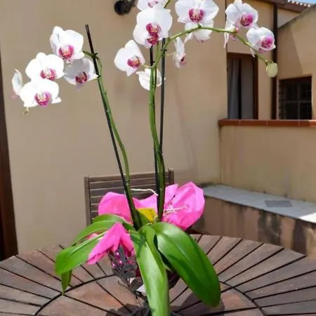 Cassisi
